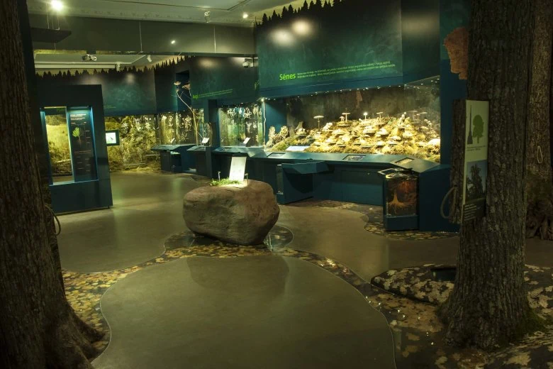 Natural History Museum of Latvia